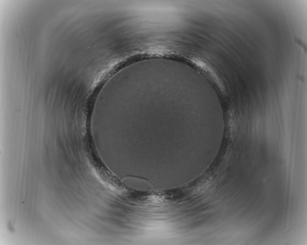 X0000100210496200805301329