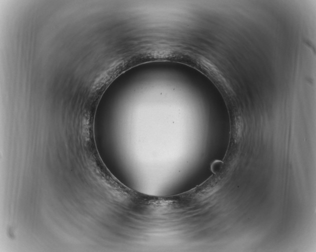 X0000100210497200805301329