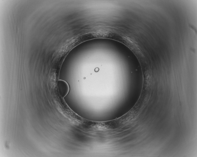 X0000100210498200805301329