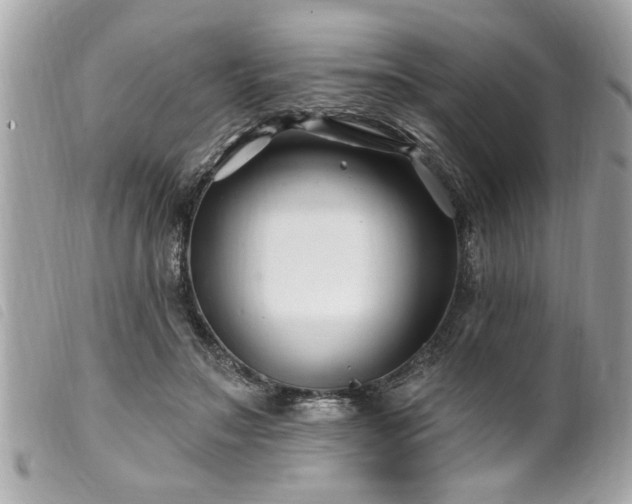 X0000100210499200805301329