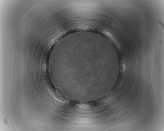 X0000100210500200805301329