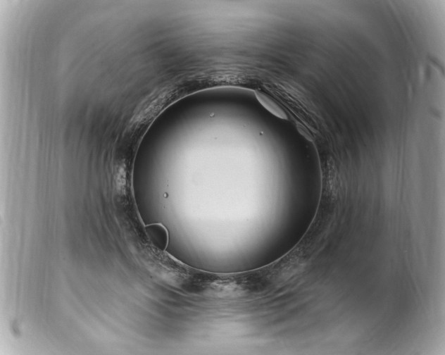 X0000100210502200805301329