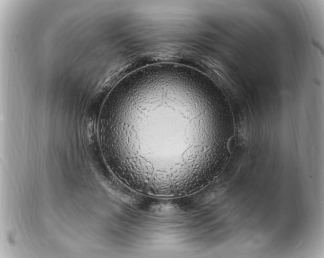 X0000100210503200805301329