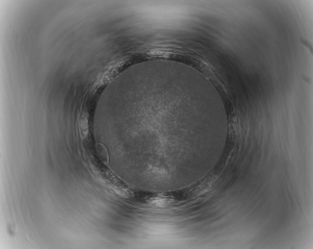 X0000100210504200805301329