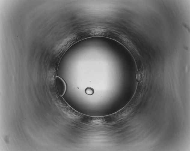 X0000100210505200805301328