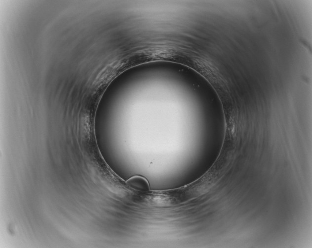 X0000100210506200805301328