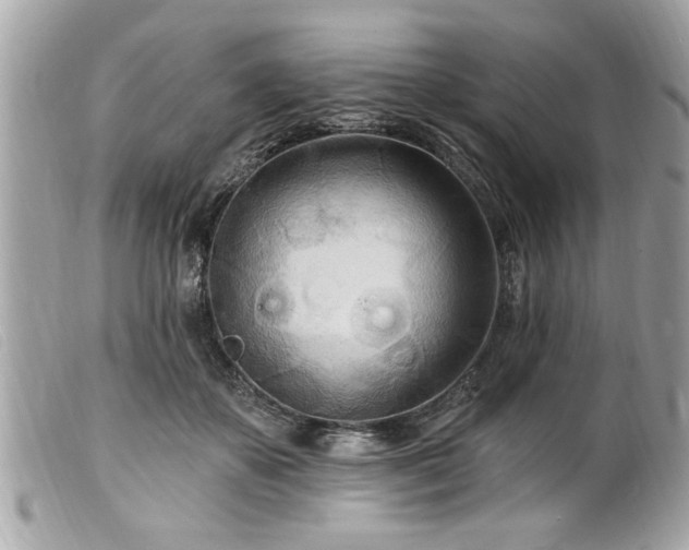 X0000100210507200805301328