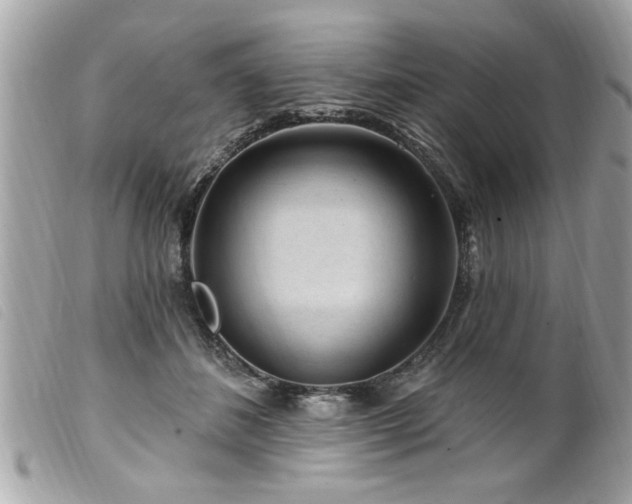 X0000100210508200805301328