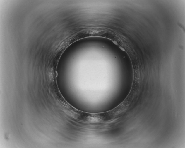 X0000100210510200805301328