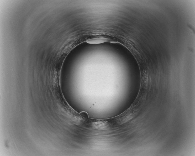 X0000100210511200805301328