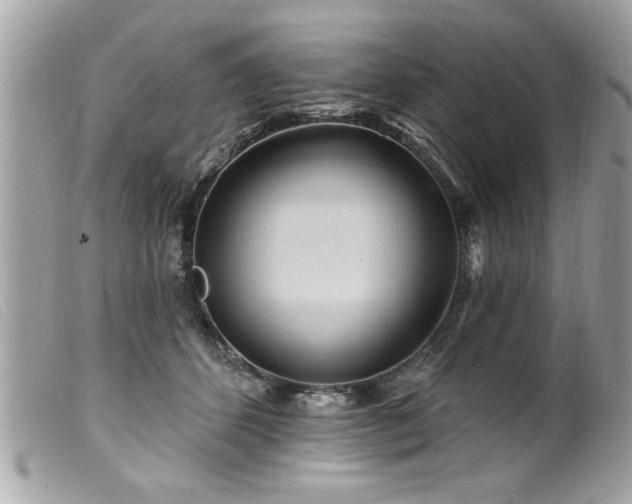 X0000100210512200805301328