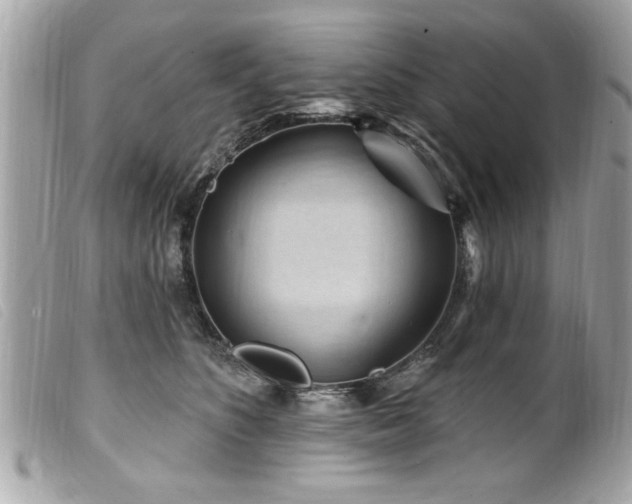 X0000100210516200805301328