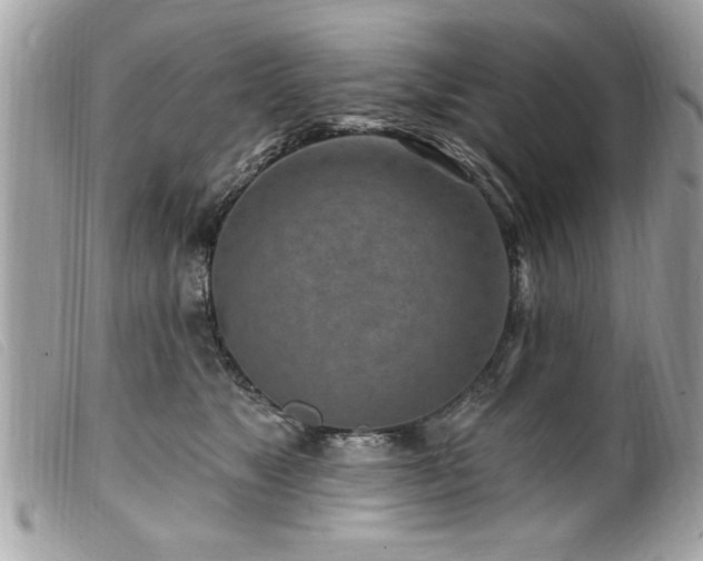 X0000100210517200805301328