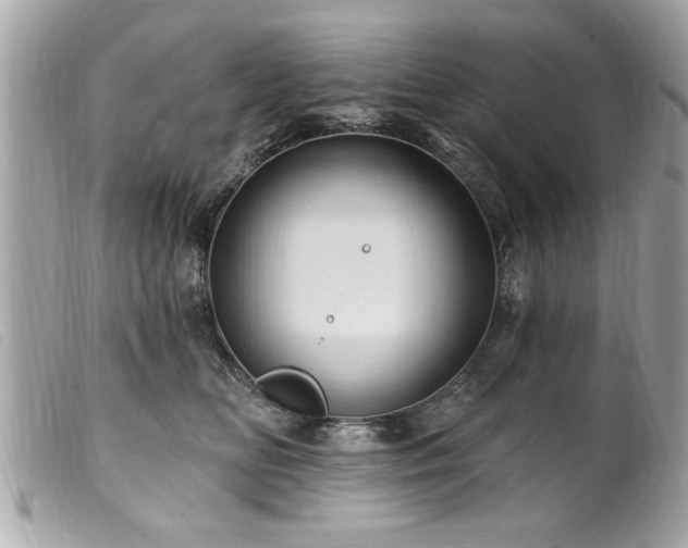 X0000100210518200805301328