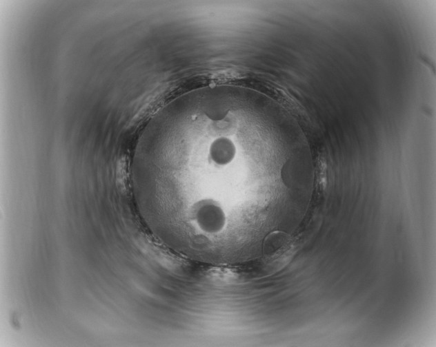 X0000100210519200805301328