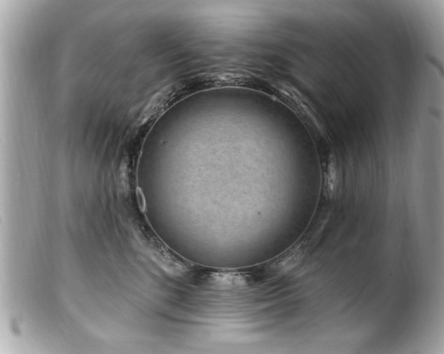 X0000100210520200805301328