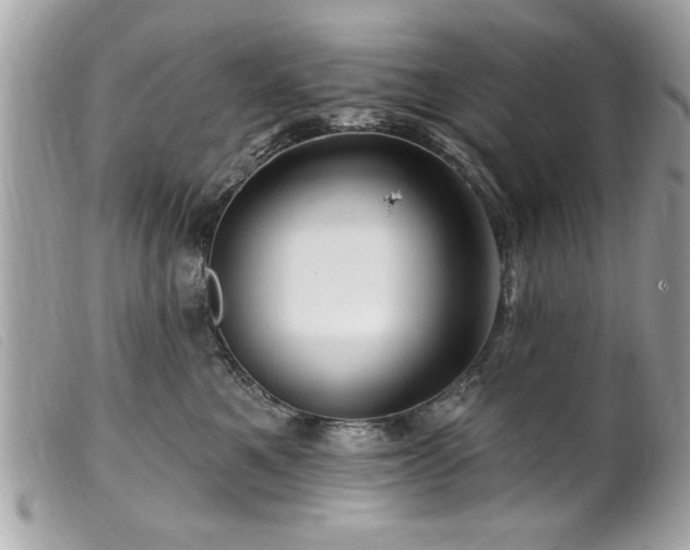 X0000100210521200805301328