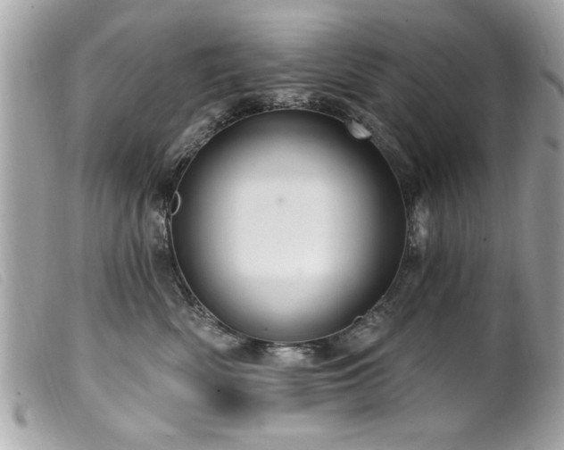 X0000100210522200805301328