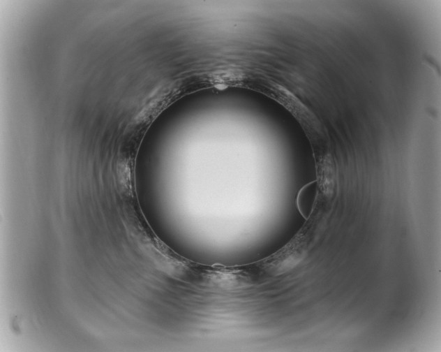 X0000100210523200805301328