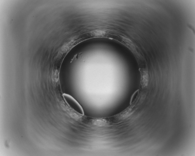 X0000100210525200805301328