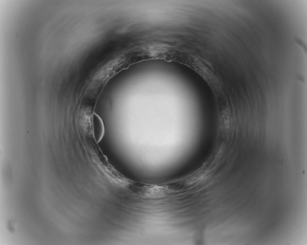 X0000100210527200805301328