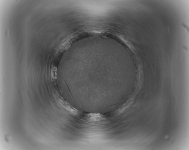 X0000100210528200805301328