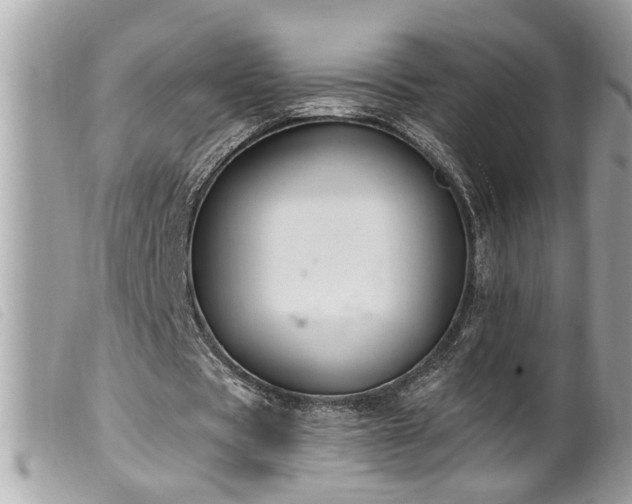 X0000100210529200805301328