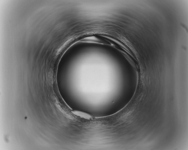 X0000100210530200805301328