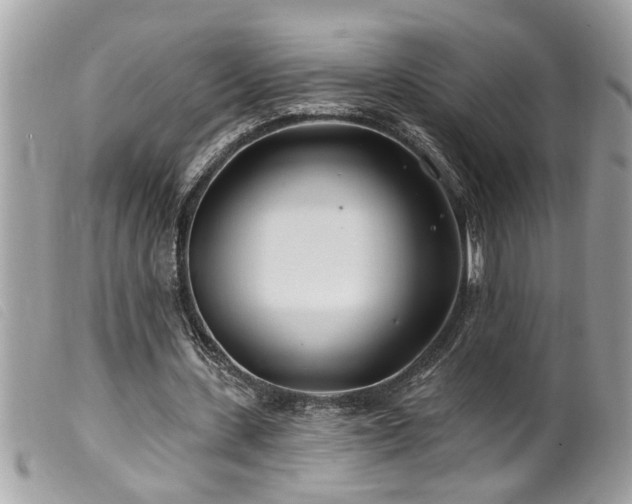 X0000100210531200805301328