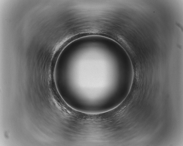 X0000100210532200805301328