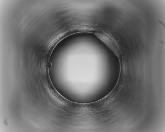 X0000100210533200805301328