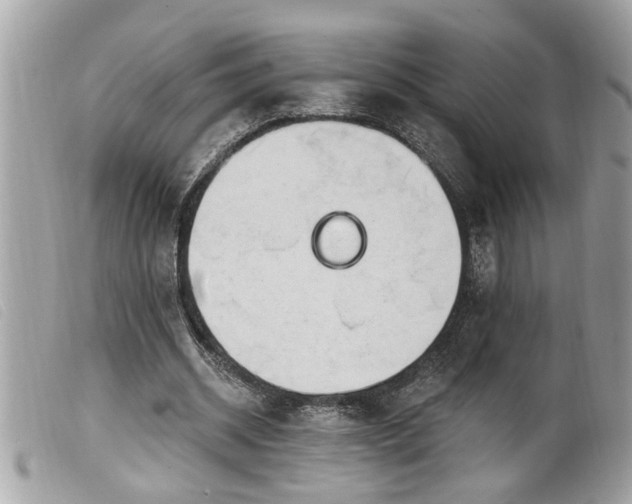 X0000100210534200805301328