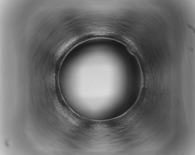 X0000100210535200805301328