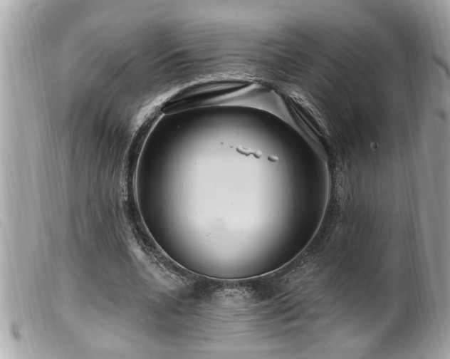 X0000100210536200805301328