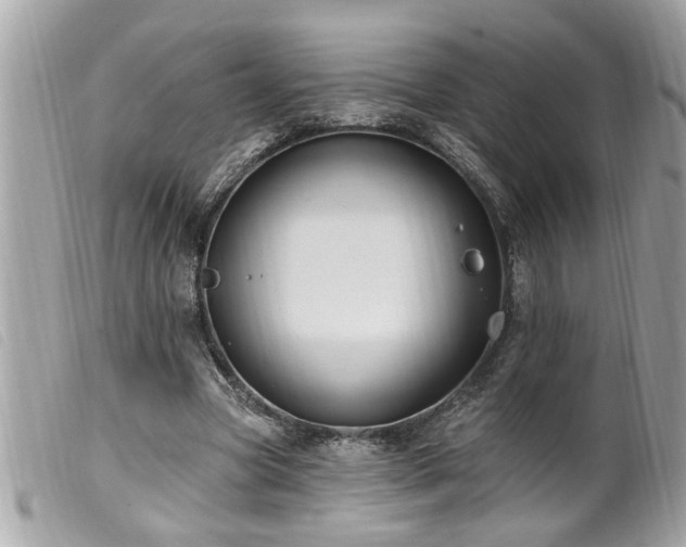 X0000100210537200805301328