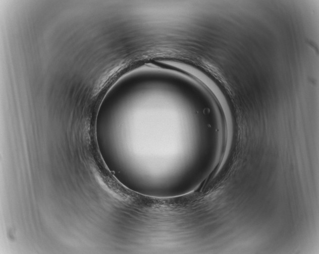 X0000100210538200805301328