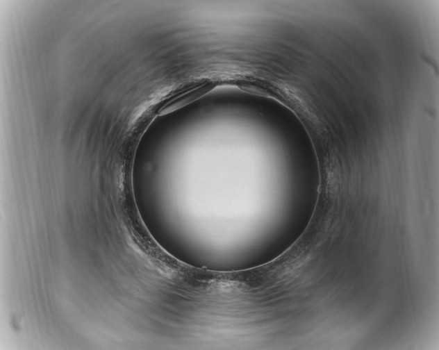 X0000100210539200805301328