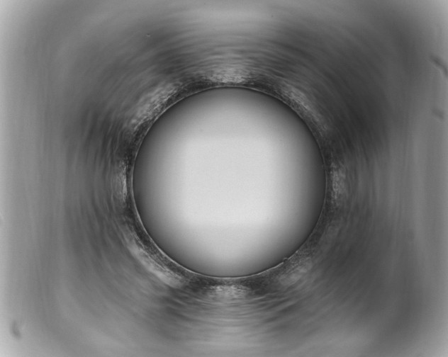 X0000100210541200805301328