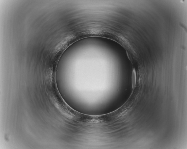 X0000100210542200805301328