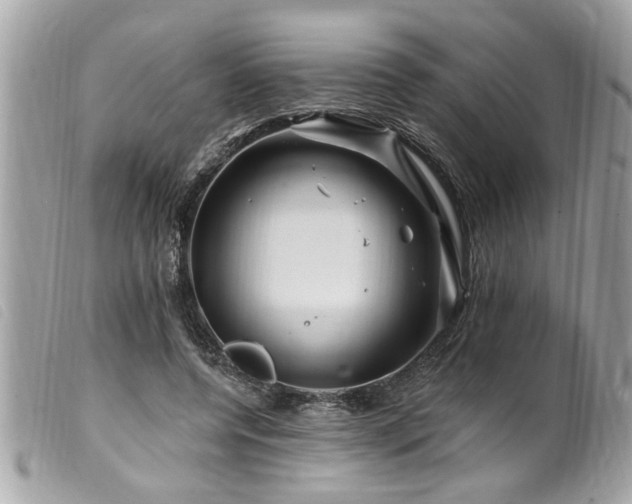 X0000100210544200805301328