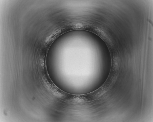 X0000100210545200805301328