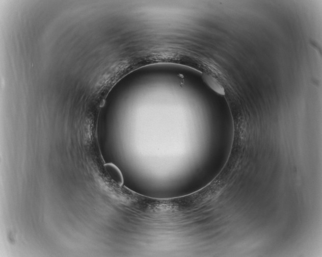 X0000100210546200805301328