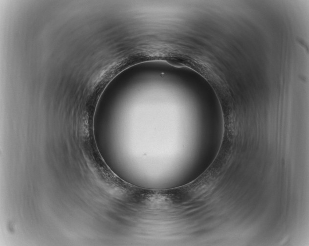 X0000100210547200805301328