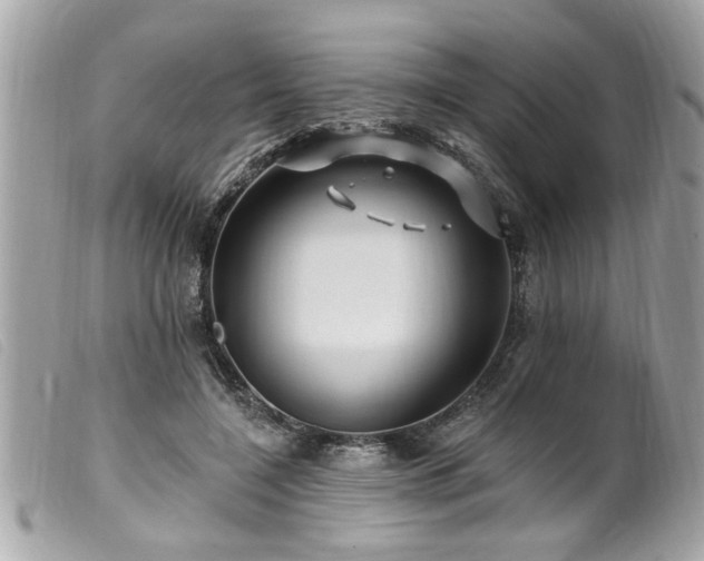 X0000100210548200805301328