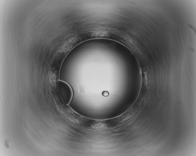 X0000100210551200805301328