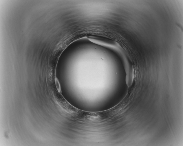 X0000100210552200805301328