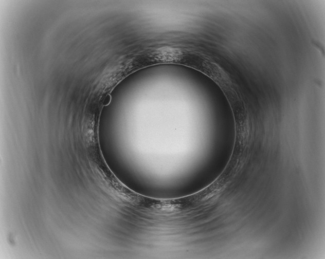 X0000100210553200805301328