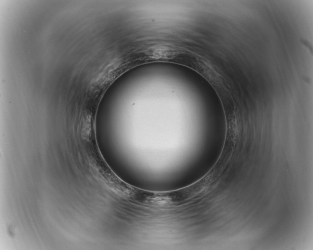 X0000100210554200805301328