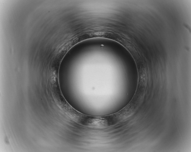 X0000100210555200805301328