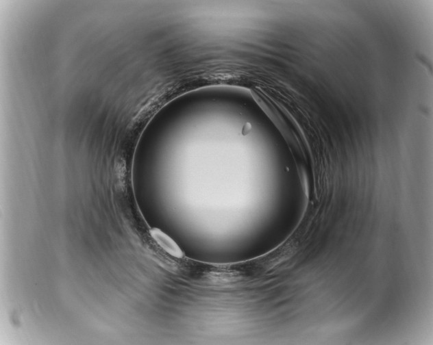 X0000100210556200805301328